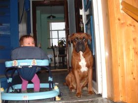 2005_0114danielo60006.JPG